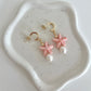 Starfish Earrings